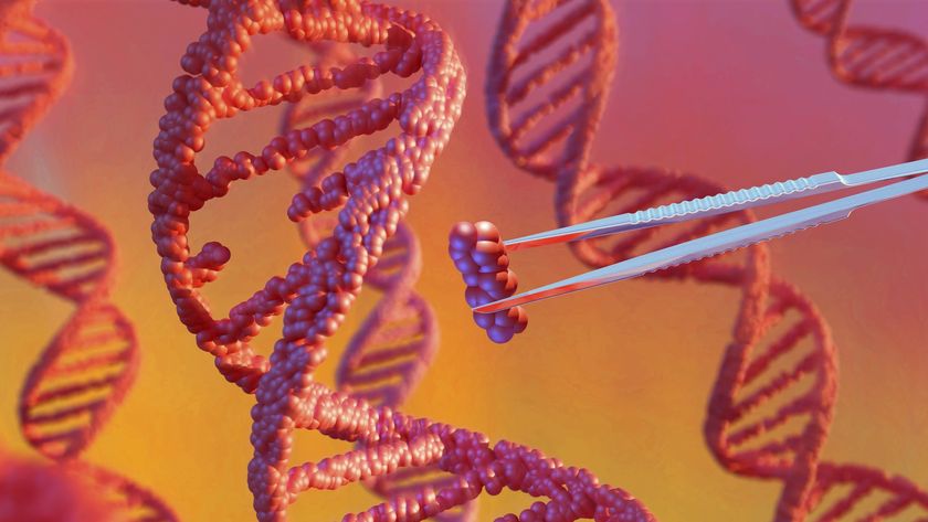 Illustration of a close up of a DNA double helix with tweezers next to it holding a small piece of the DNA, presumably a nucleotide. 