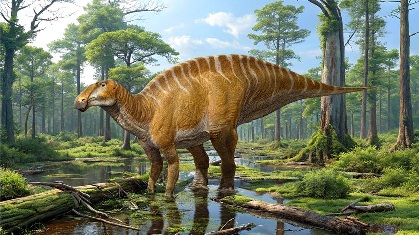Life reconstruction of Ahshislesaurus wimani 