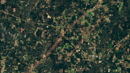 A satellite photo of Mississippi showing two parallel tornado tracks carved through farmland