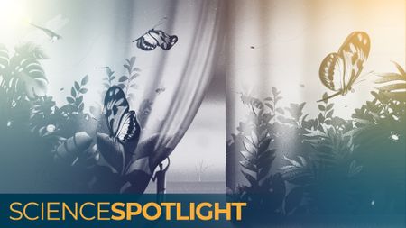 An illustration of a person pulling back a curtain full of colorful insects to reveal a deserted landscape