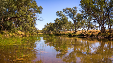 Finke River, Northern Territory.