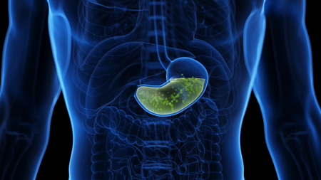 Stomach acid illustration.